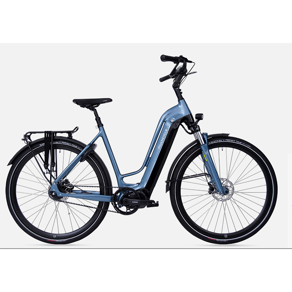 MULTICYCLE LEGACY EMB D49