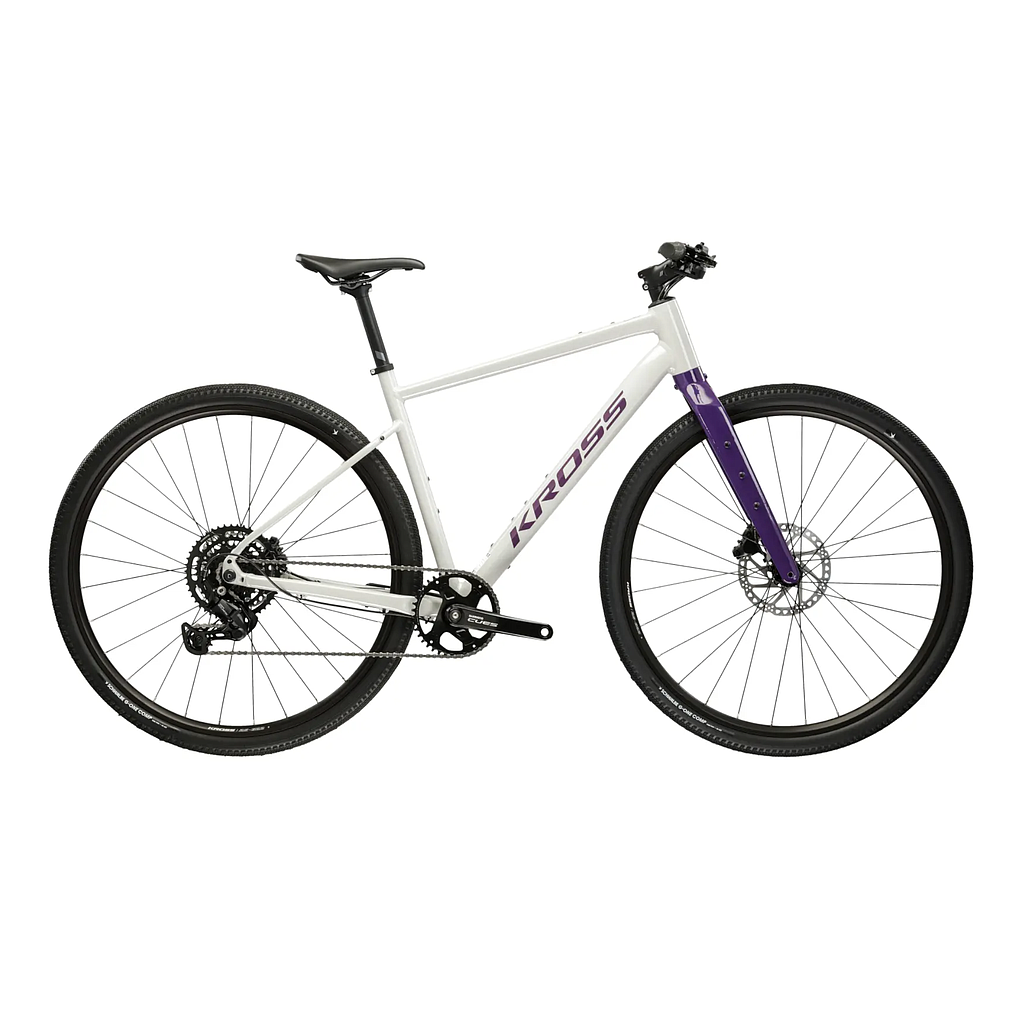 KROSS ESKER 1.0 FL GRAVEL BIKE L (20") GREY/PURPLE/GLOSSY